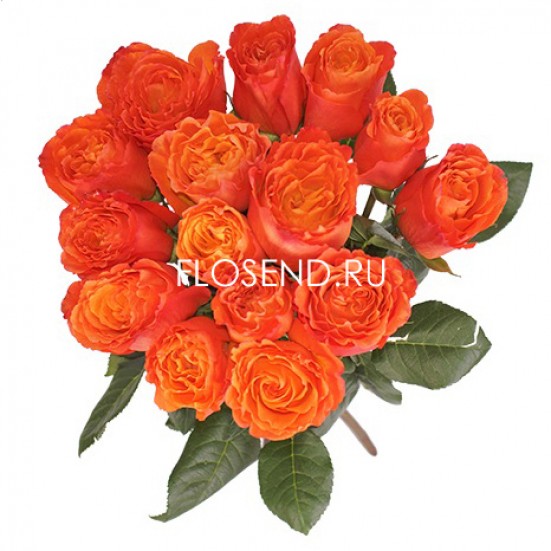 Букет «15 оранжевых роз» - фото 3